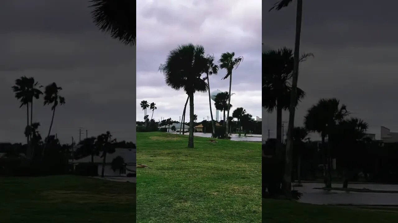 Hurricane Nicole: Flooding On The Golf Course Behind Our House #hurricanenicole #flaglerbeach