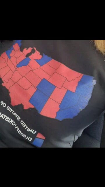 The real 2020 electoral map!