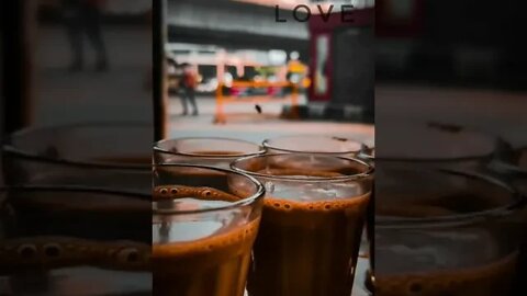 Chai Lover