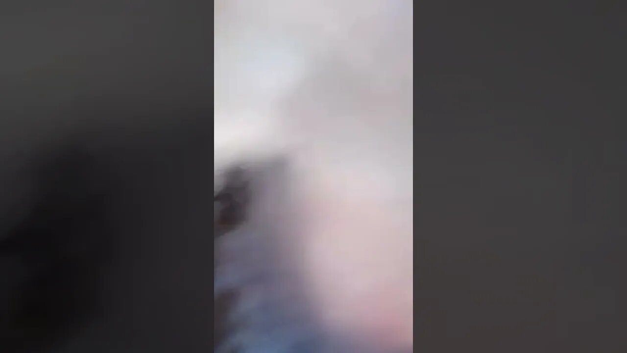 VEJA QUE ACHEI NO SAQUINHO DE CRAVO NOJENTO E PERIGOSO PARA SAÚDE#SHORTS🐌