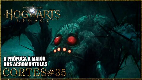 HOGWARTS LEGACY[CORTE#35]LUTANDO COM A PRÓFUGA A ACROMANTULA GIGANTE #hogwartslegacybrasil