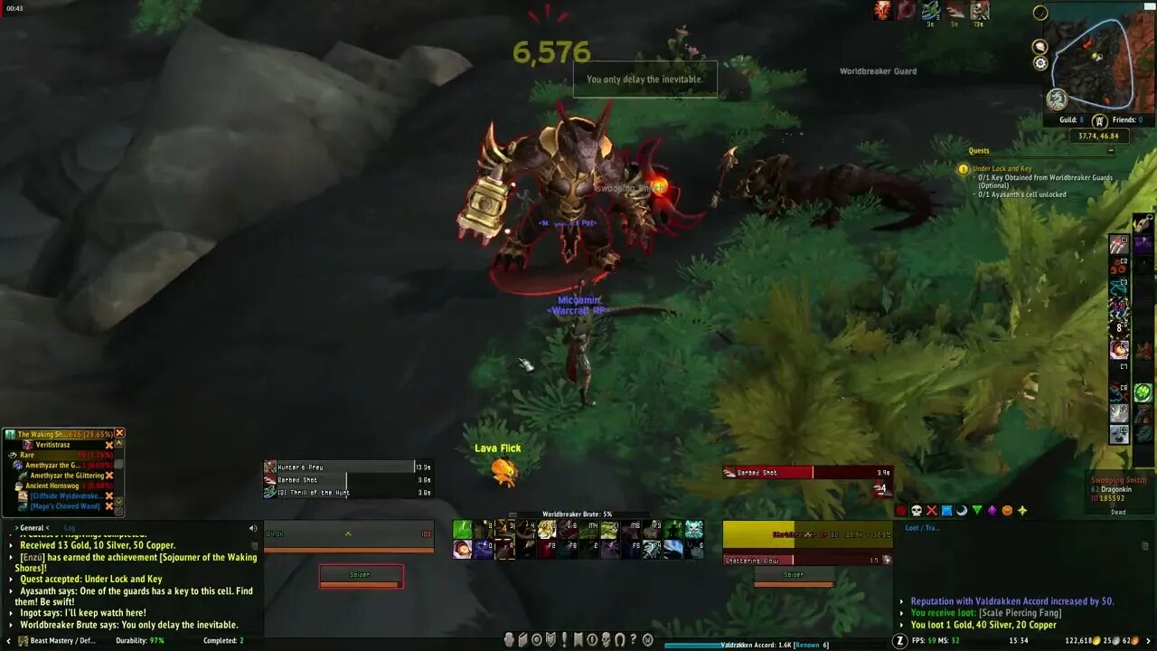 World of Warcraft Dragonflight The Shadow of His Wings