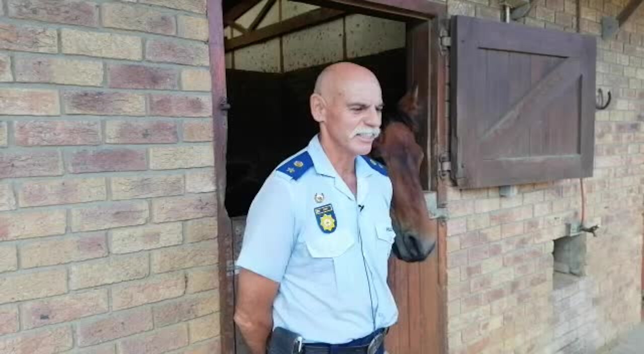 SOUTH AFRICA - Cape Town - SAPS Mounted Unit (Video) (vAQ)