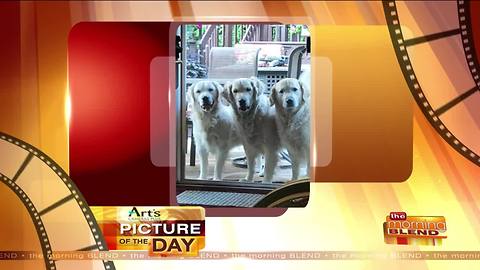 Art's Cameras Plus Picture of the Day for 9/18!