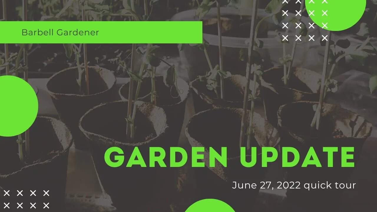 July 17, 2022 garden update