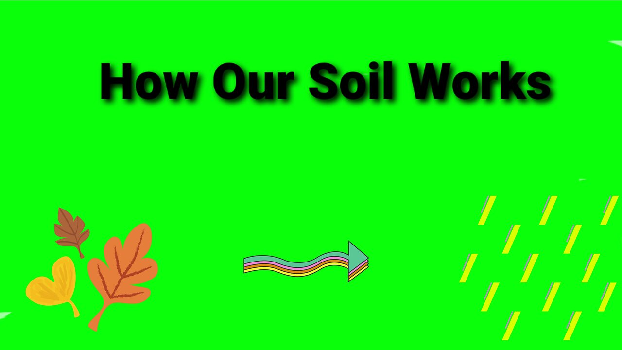 HOW OUR SOIL WORKS! (The Cycle)