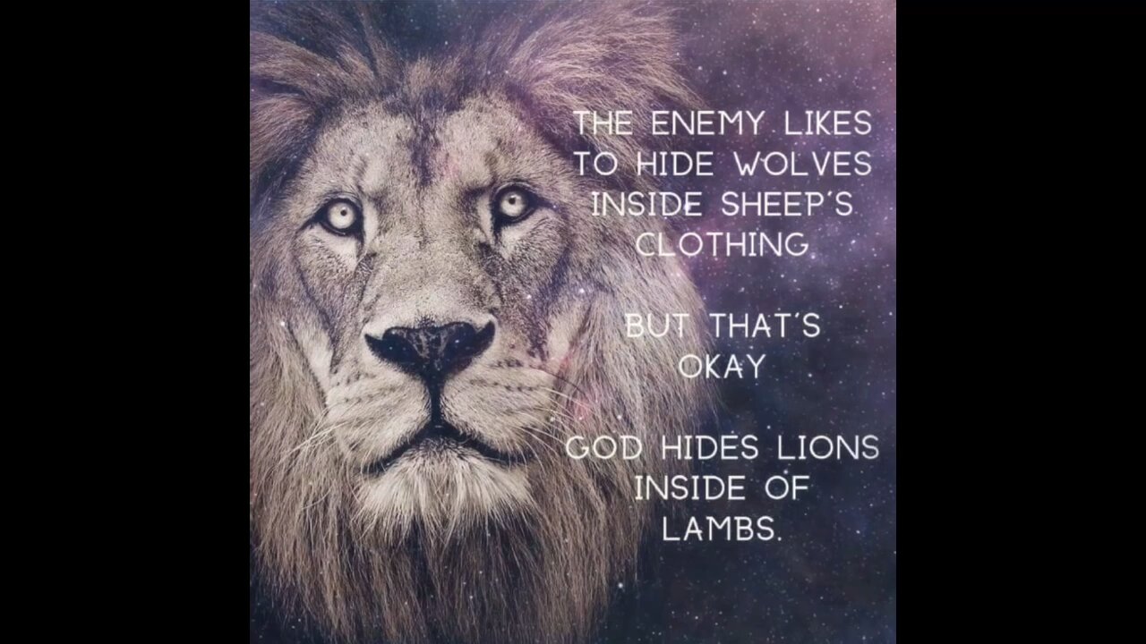 Lions & Lambs