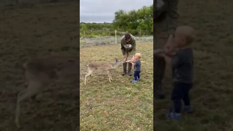 Pure JOY outdoor Johnny as tiny toddler. Feeding deer.