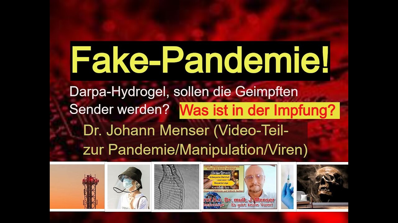 Fake - Pandemie