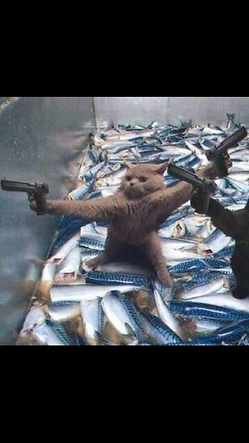 When Animals Do the Funniest Things! 🐾🤣