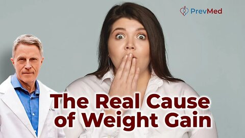 The Real Cause of Weight Gain