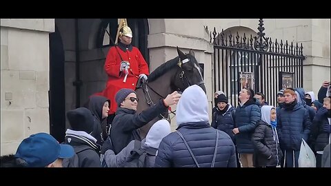 Disrespectful tourist told to go away by the kings guard part 1 #horseguardsparade