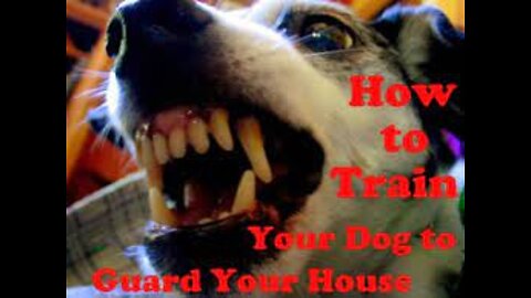 How to make your Dog become Guard Dog instantly with this few simple tricks