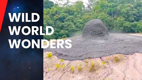 Insane Real-Life Wonders Captured on Video!