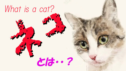 What is a cat? 猫のココロ