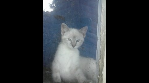 Myyyhhhhhhhhhhuy uu