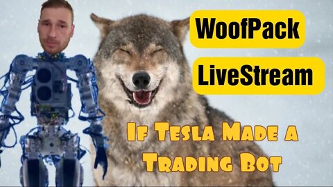 Woof Pack Very 8th live-Stream!