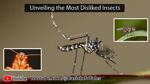 Unveiling the Most Disliked Insects