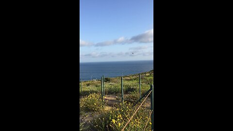 Sailboats in the distance