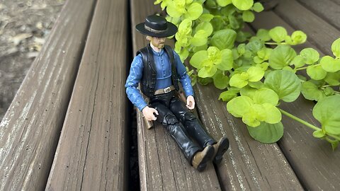 Foliage Friday with Clay