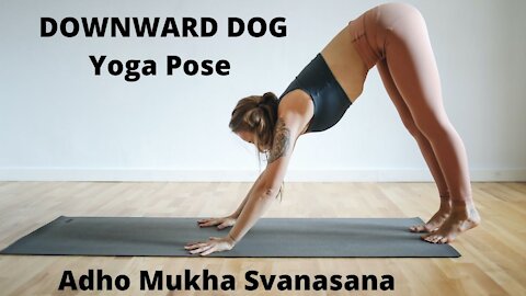 Downward Facing Dog YOGA Poses (Adho Mukha Svanasana)