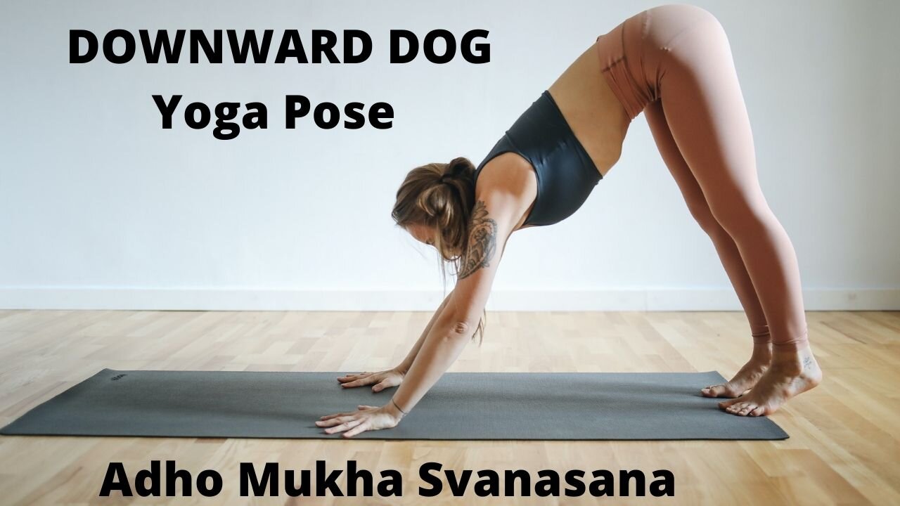 Downward Facing Dog YOGA Poses (Adho Mukha Svanasana)