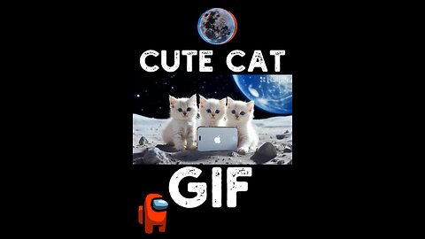 Cute Cat Gif