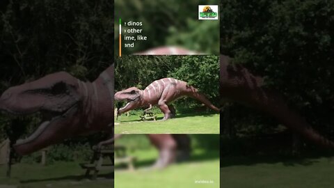 Tyrannosaurus