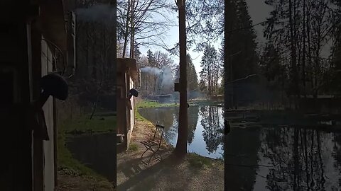 #fishing day , #angeln #teich #shorts