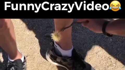 Mr FunnyCrazyVideo😂 Just Incredible Video Funny and Crazy #Like Follow for Follow 🥰