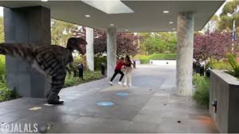 JALALS PRANK COMPILATION