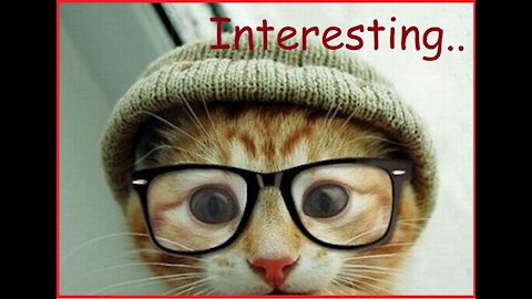 TOP 40 FACTS ABOUT CATS THAT EVERYONE NEEDS TO KNOW