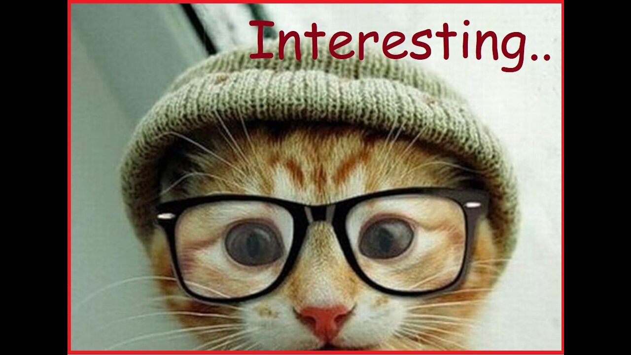 TOP 40 FACTS ABOUT CATS THAT EVERYONE NEEDS TO KNOW