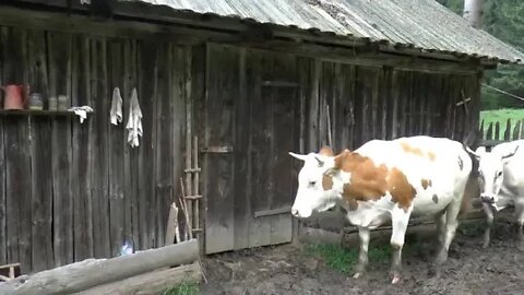 Romania, Village Life in Transylvania