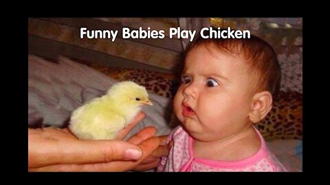 Funny and cute baby moments: funny reaction when babies play with chicken