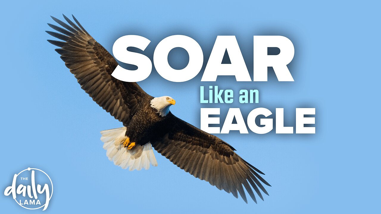 Soar Like an Eagle