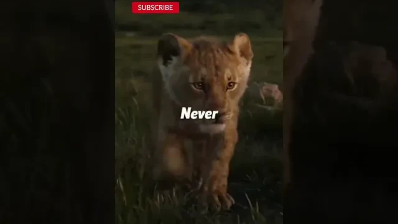 NEVER FORGET ❤️🤚 WhatsApp Status #shorts Billionaire Attitude Status #motivation #quotes #shorts