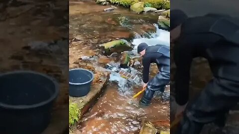 Gold prospecting