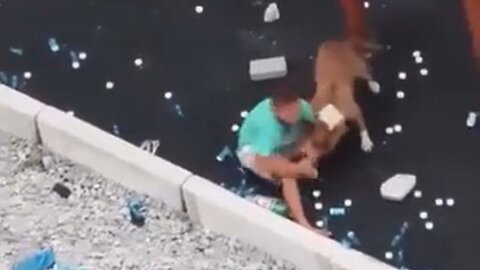 Terrifying Video Shows Two Pitbulls Attacking Young Children At A Playground In Sao Paulo, Brazil