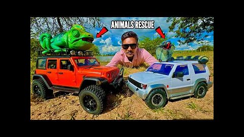 RC Jungle Animals Rescue Mission With Thar Roxx - Chatpat toy TV