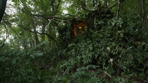 How to Build the best jungle Shelter:19