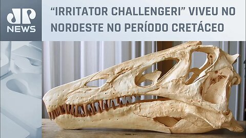 Cientistas pressionam Alemanha a devolver fóssil de dinossauro que foi contrabandeado do Brasil