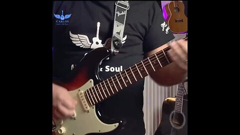 Romance Ideal (solo) Os Paralamas Do Sucesso