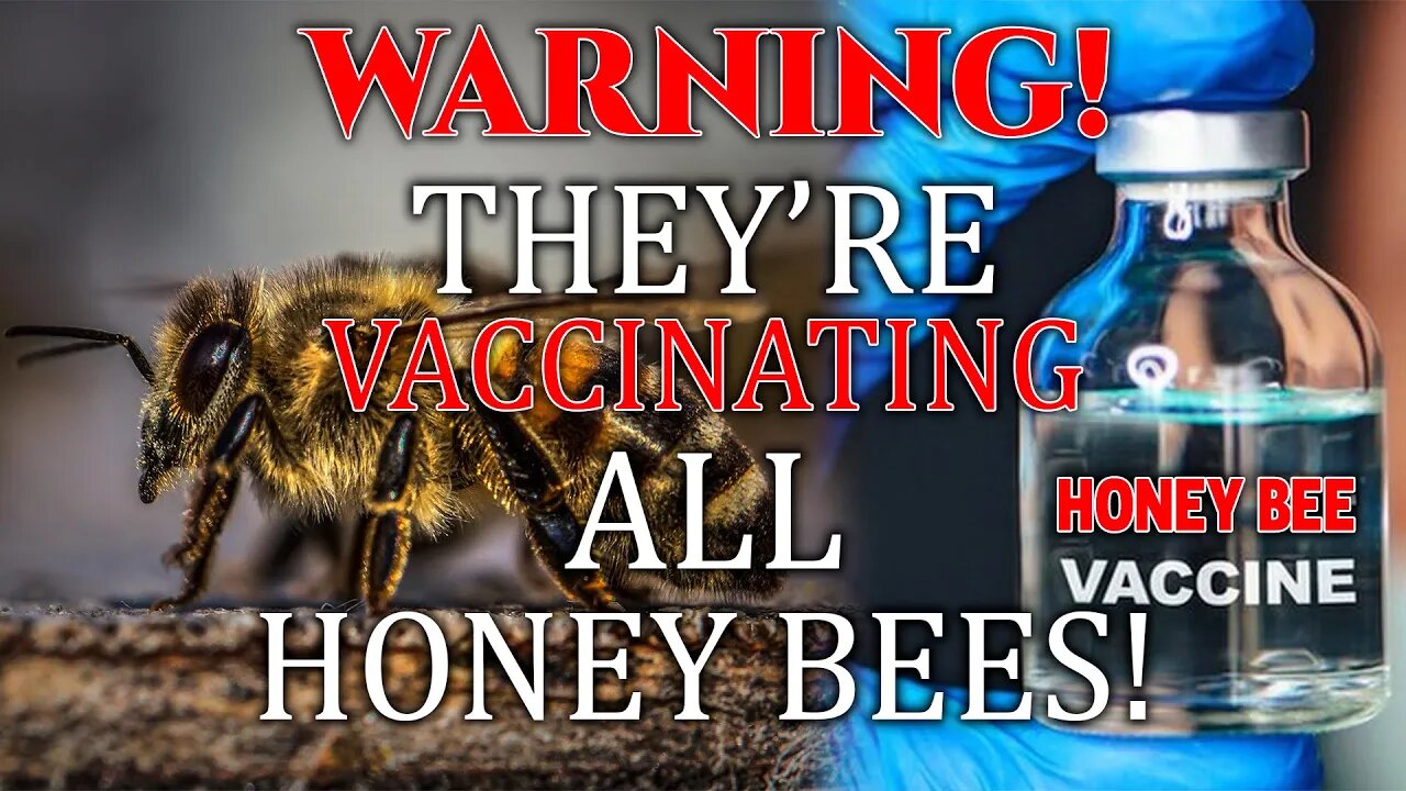 WARNING! They're VACCINATING All HONEY BEES! • Y'ALL Need To HEAR This!