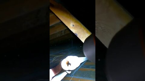 This is why we don't install galvanized plumbing. #shorts