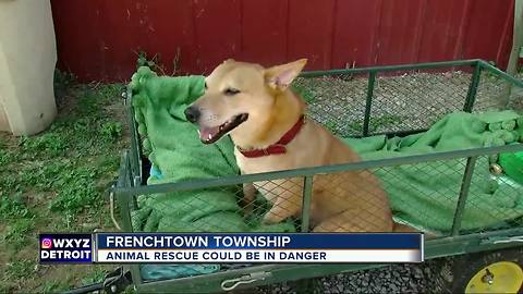 Frenchtown Township animal rescue in danger of being shut down.