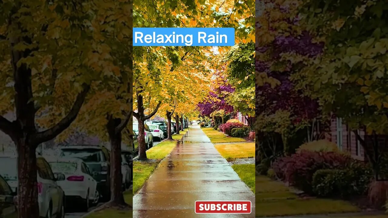 Relaxing Rain Sounds for Sleeping, Studying or Relaxation | ASMR Sounds | Asmr Sleep | Asmr Relaxing