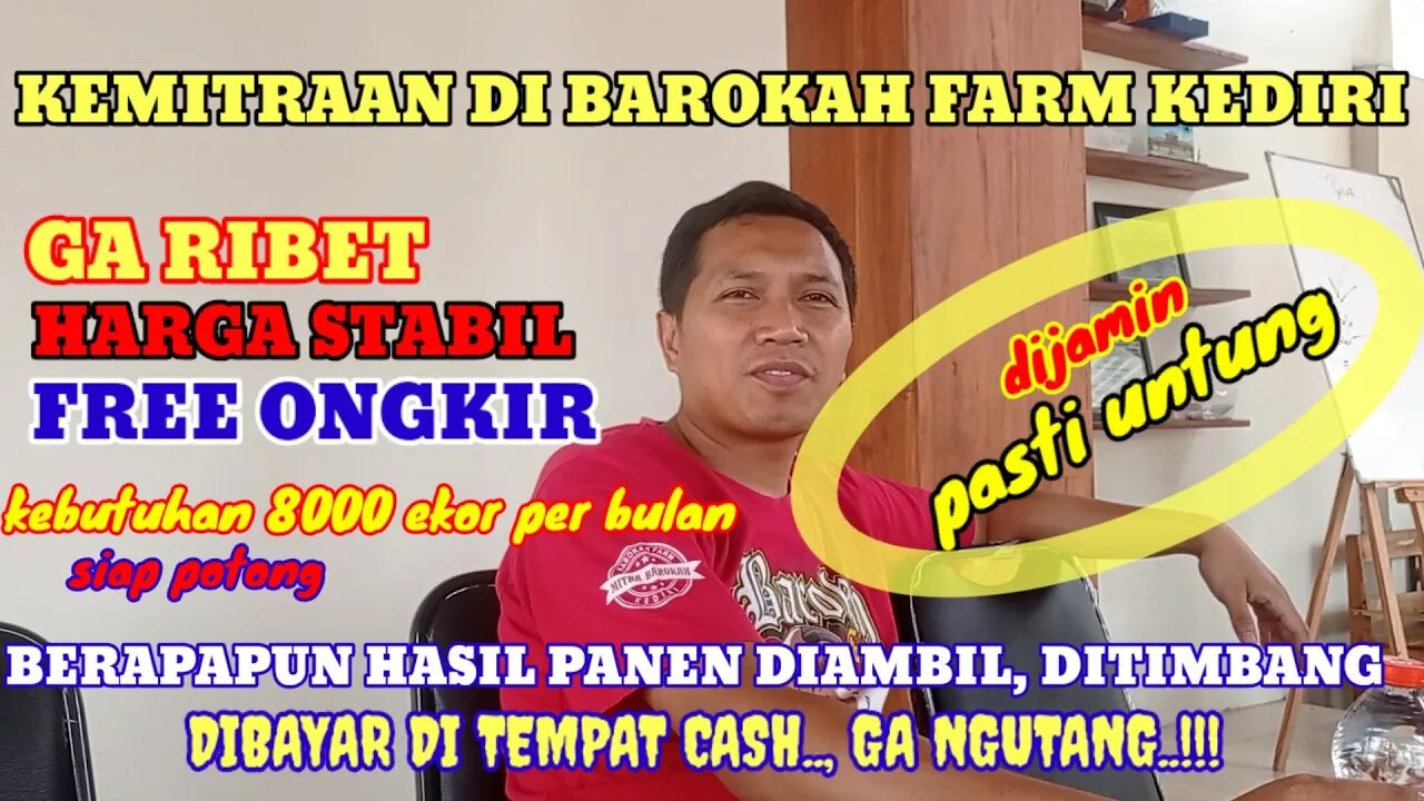 KEMITRAAN DOMBA DI BAROKAH FARM KEDIRI DIJAMIN PASTI UNTUNG