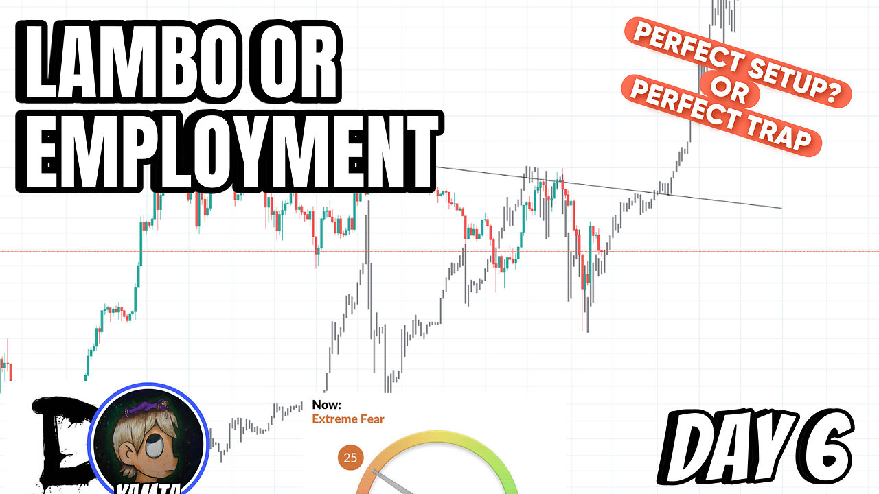 LAMBO'S or FULL TIME EMPLOYMENT - DAY 6