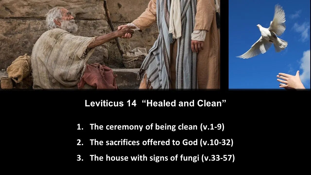Leviticus 14 “Healed and Clean” - Calvary Chapel Fergus Falls